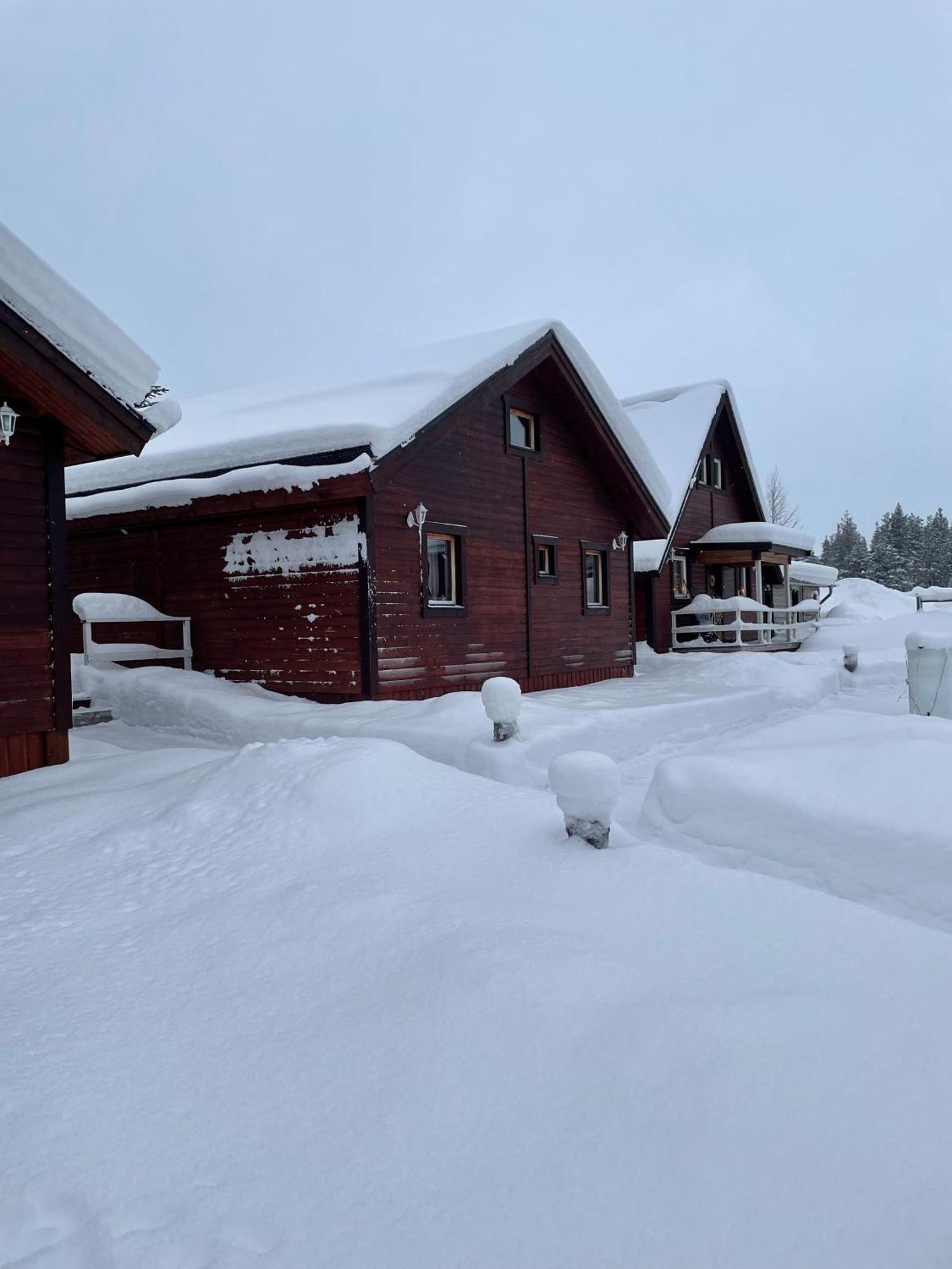 Skogen-Lodge Koskullskulle Esterno foto